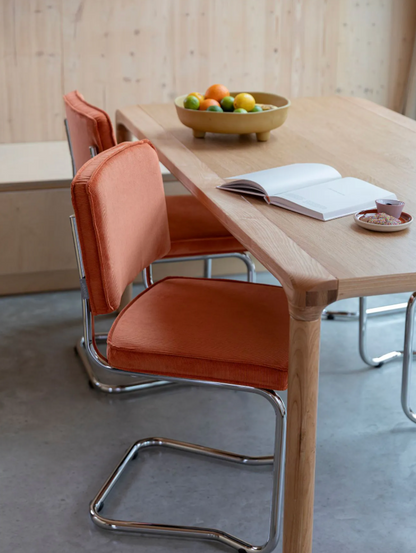 Lot de 2 Chaises RIDGE