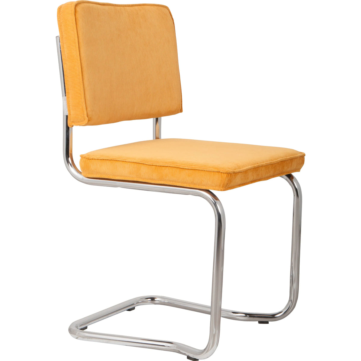 Lot de 2 Chaises RIDGE