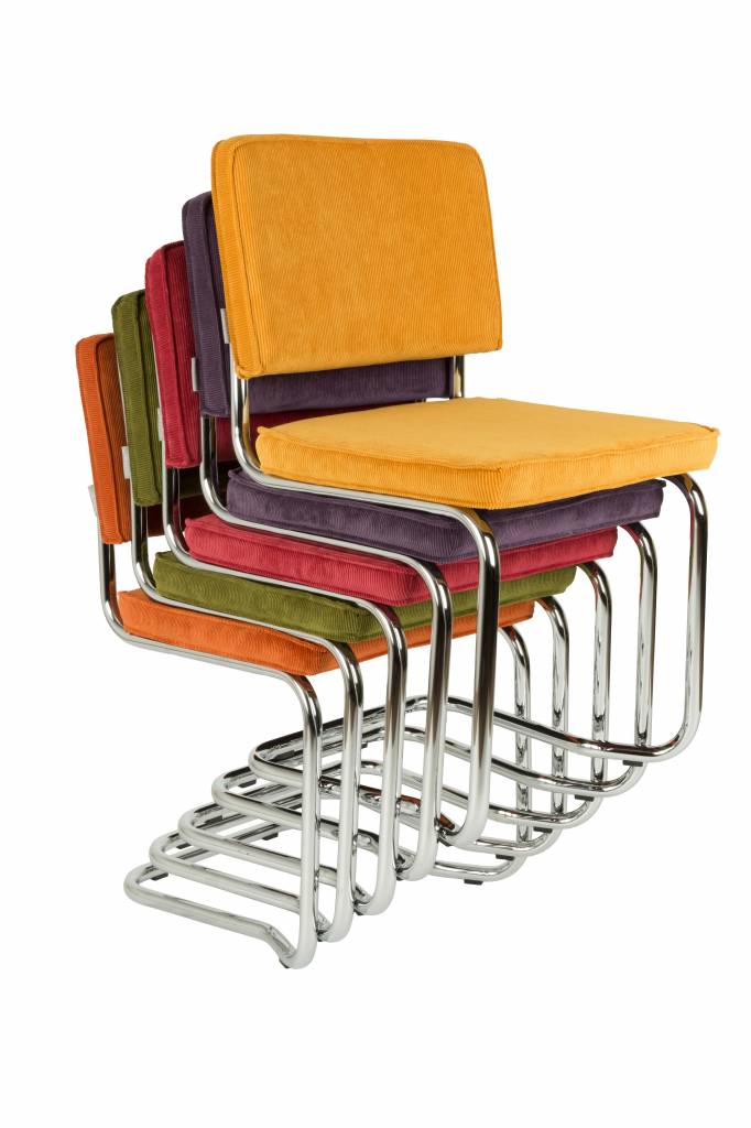 Lot de 2 Chaises RIDGE